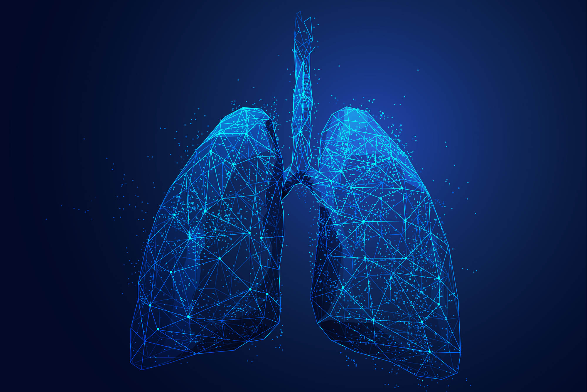 BU Researchers See Future Where Lung Disease Is Treatable, and Damaged Lungs Are Regenerated