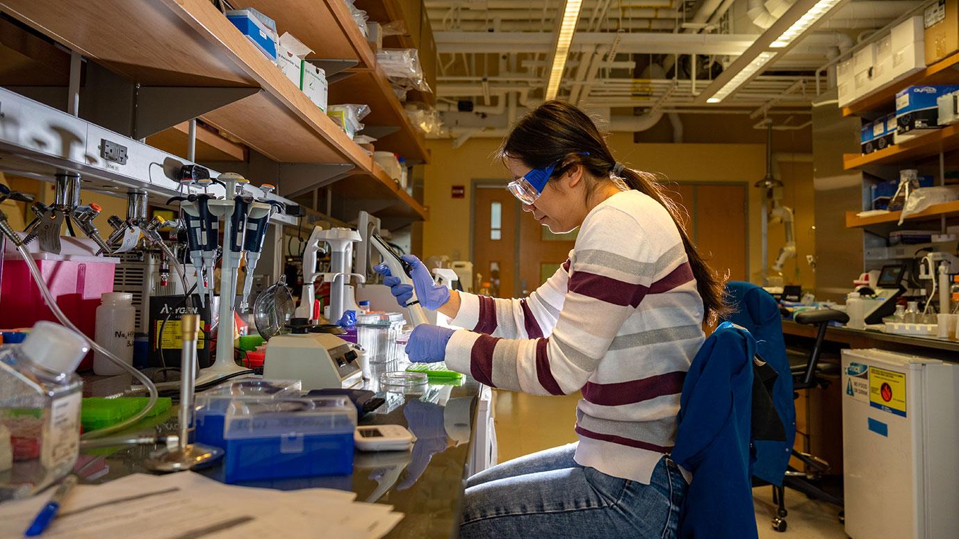 Researchers Invent Compact CRISPR Systems to More Easily Edit Genes