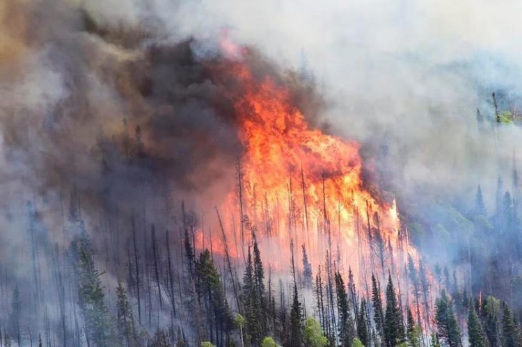 UW Research Helps California Forest Managers Assess Smoke Hazards From Prescribed Burns