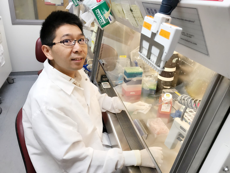 UW–Madison Researchers First to 3D-Print Functional Human Brain Tissue