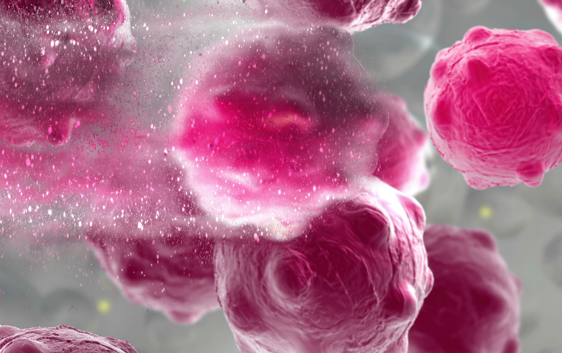 Secondary Cancers Following CAR T Cell Therapy Are Rare