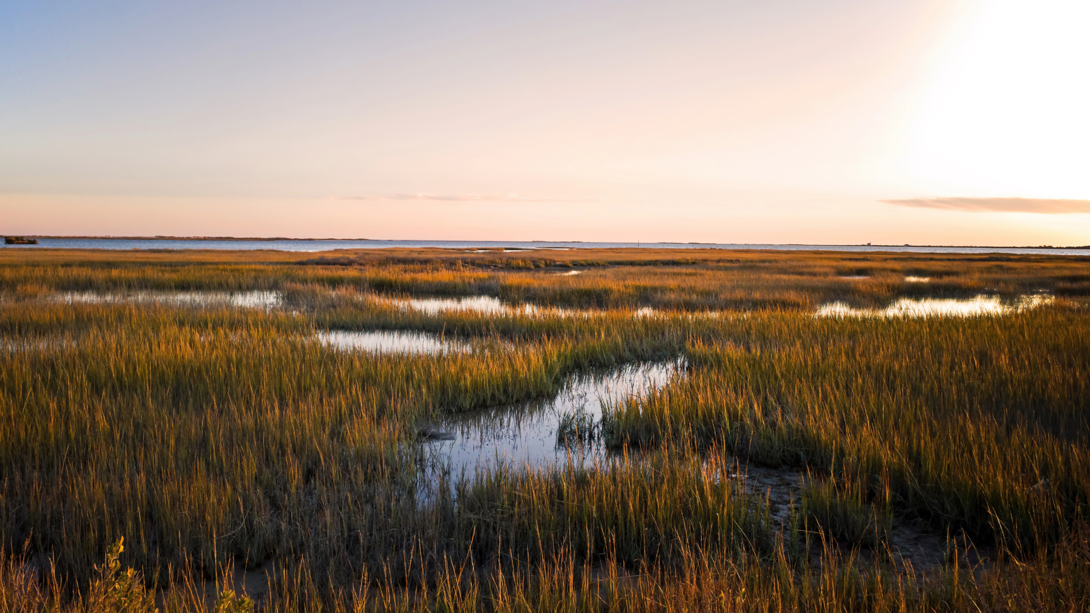Using Evidence From Last Ice Age, Scientists Predict Effects of Rising Seas on Coastal Habitats