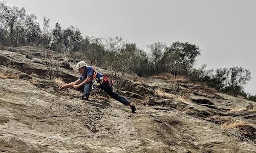"UC Santa Cruz names new, rare succulent species from Orange County"