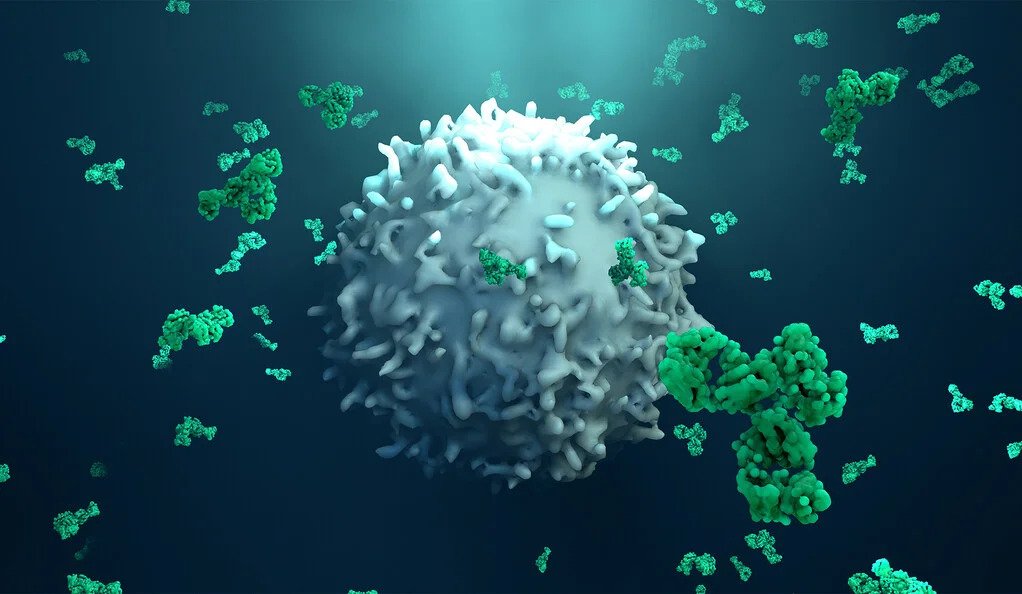 Method Allows New Insights Into Interplay Between Immune System and Tumors