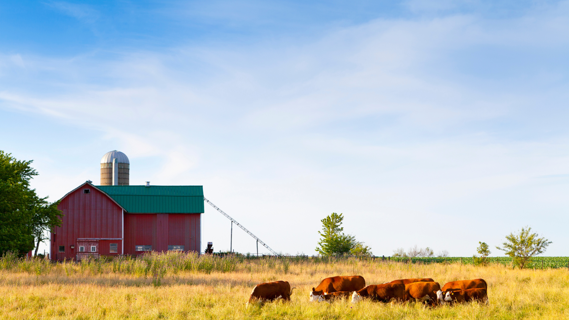 Research Analyzes Relationship Between Agriculture, Emergence of New Diseases