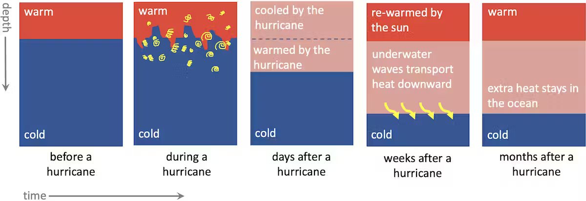 "Hurricanes push heat deeper into the ocean than scientists realized, boosting long-term ocean warming, new research shows"