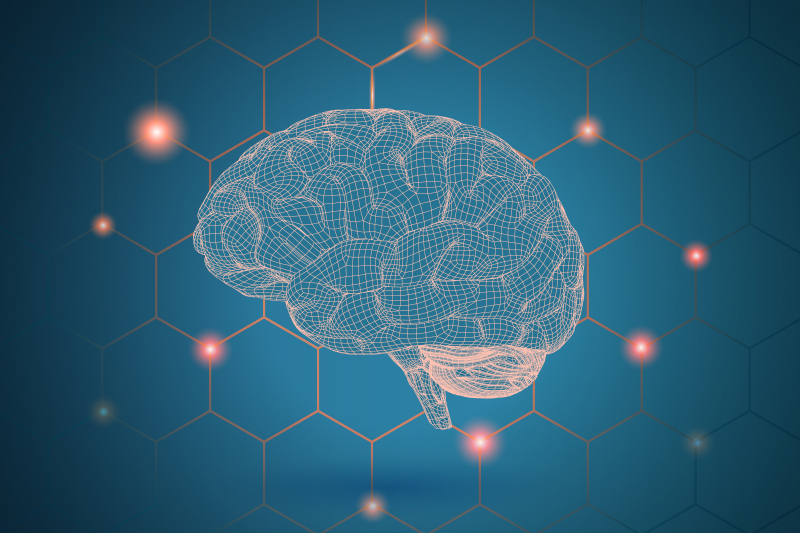 Treating Diseases by Eliminating Protein Aggregation in the Brain, Pancreas
