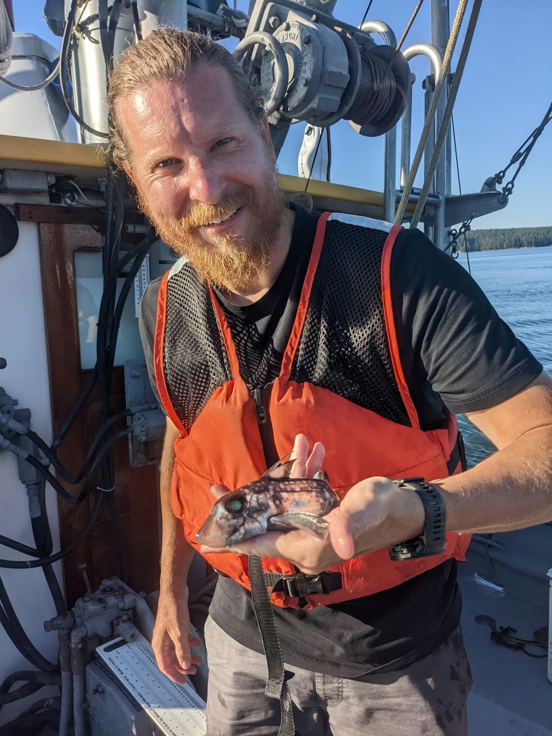 "Unlocking Secrets of the Elusive Ghost Shark"
