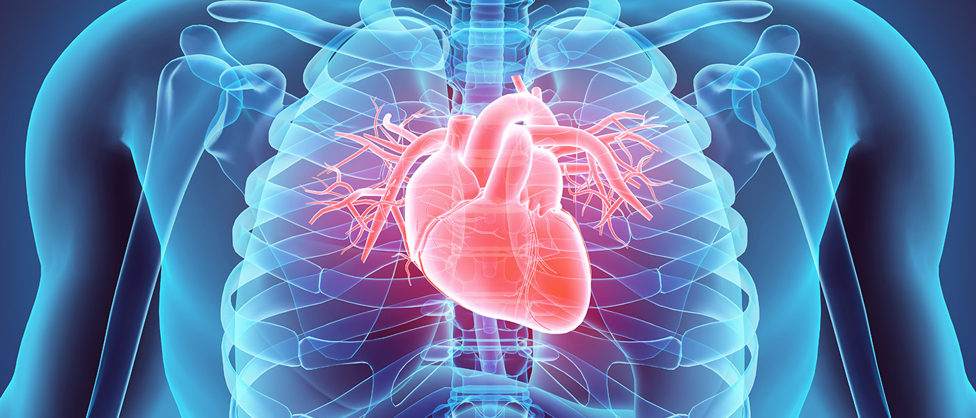 New Study Finds U.S. Military Veterans Living in Discriminatory ‘Redlined’ Areas Suffered Higher Rates of Cardiovascular Disease