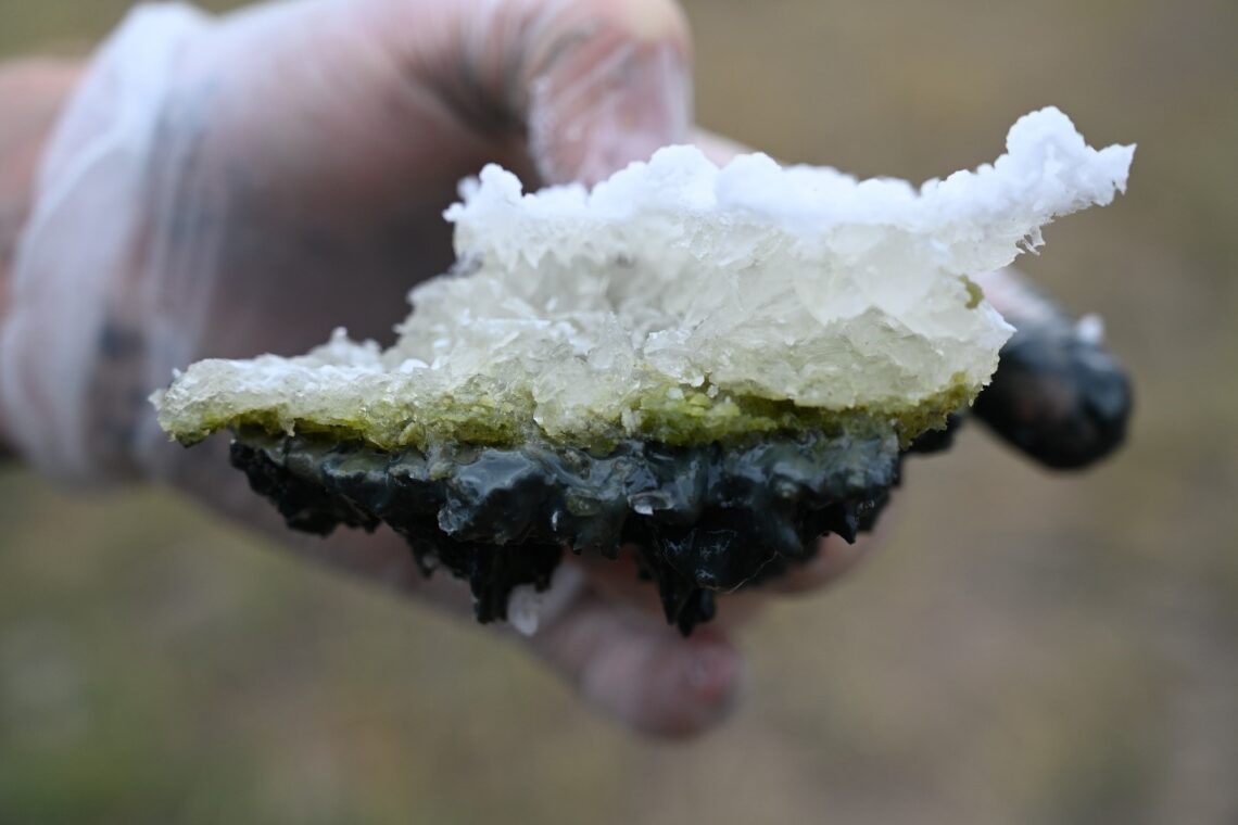 "Shallow Soda Lakes Show Promise as Cradles of Life on Earth"