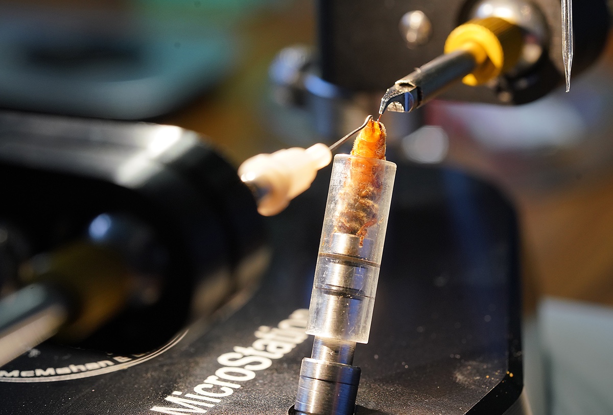 "Research Team Explores Genomic Options to Enhance Honeybee Resilience"
