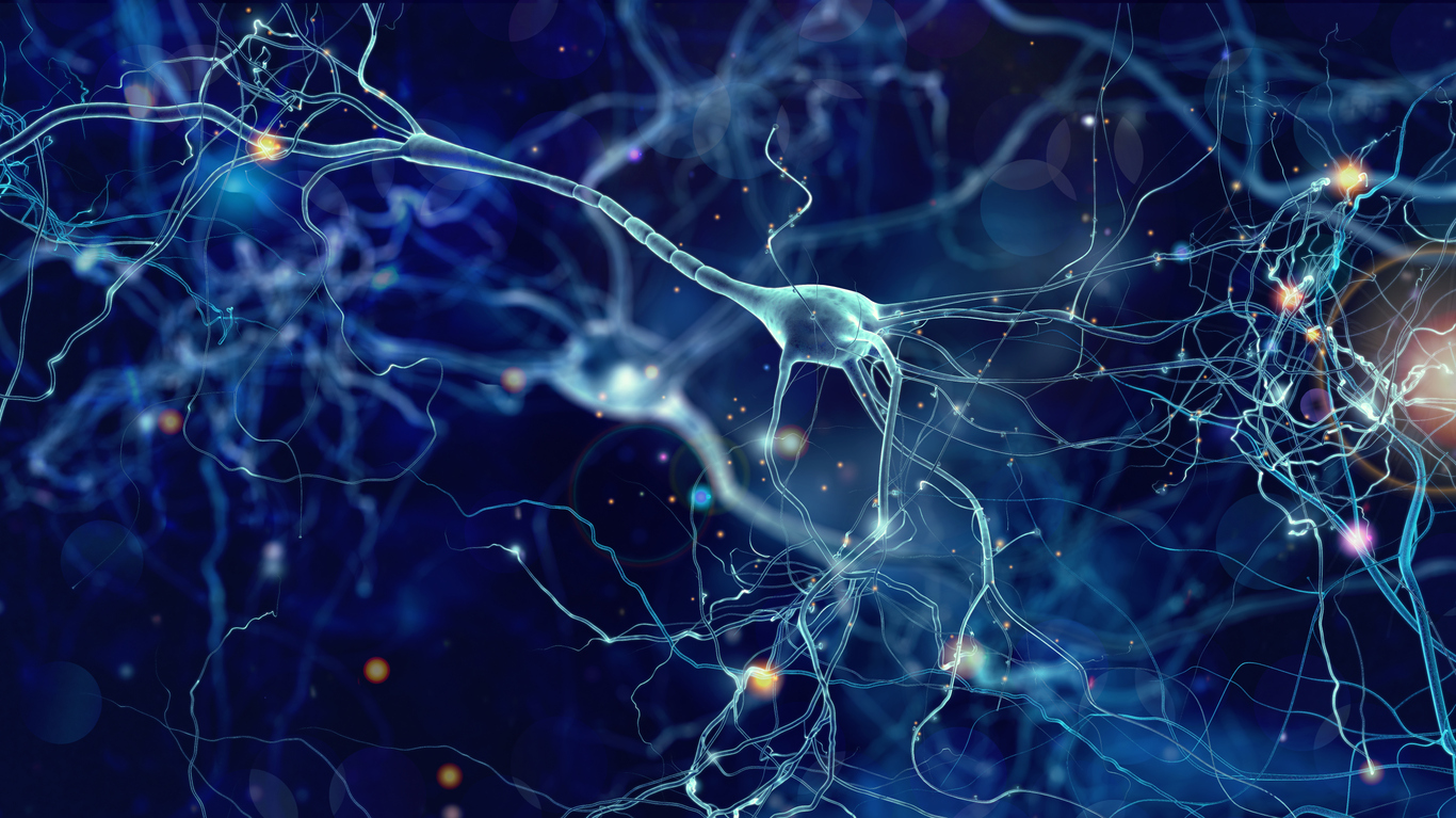 Experimental drug reverses synaptic loss in mouse models of Alzheimer’s