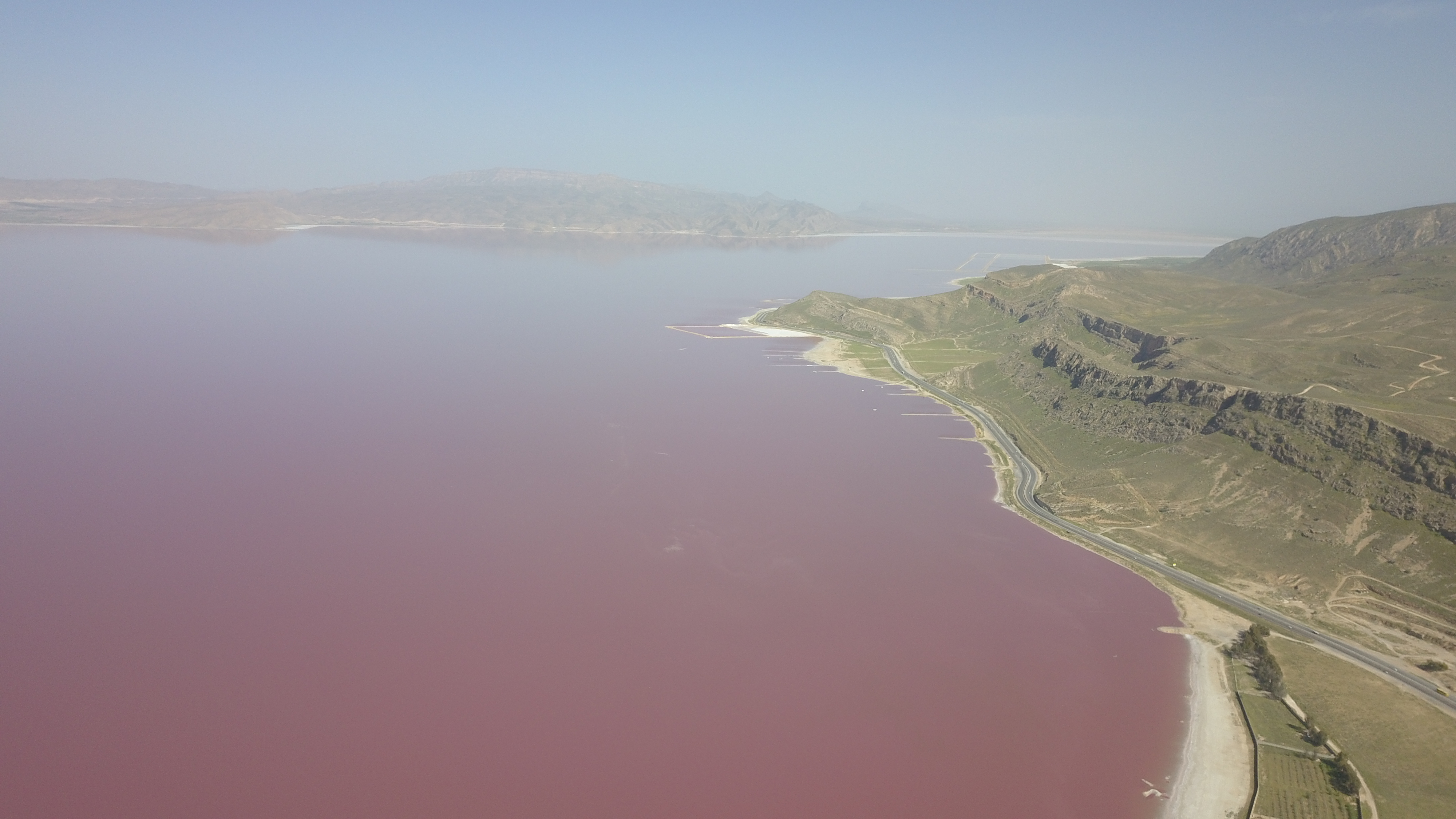 "Maharloo Lake, also known as Pink Lake, Q&A with Katayoon Dehesh, PhD"
