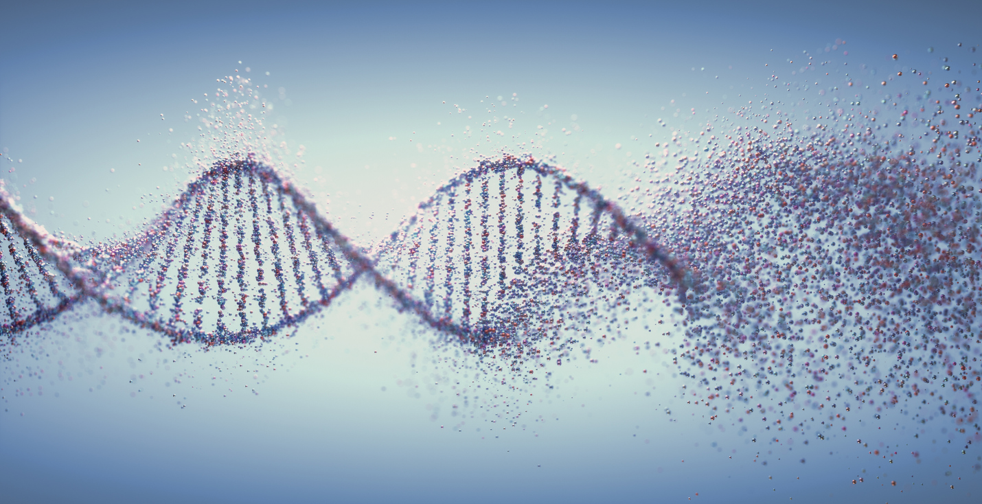 ‘Deletions’ From the Human Genome May Be What Made Us Human