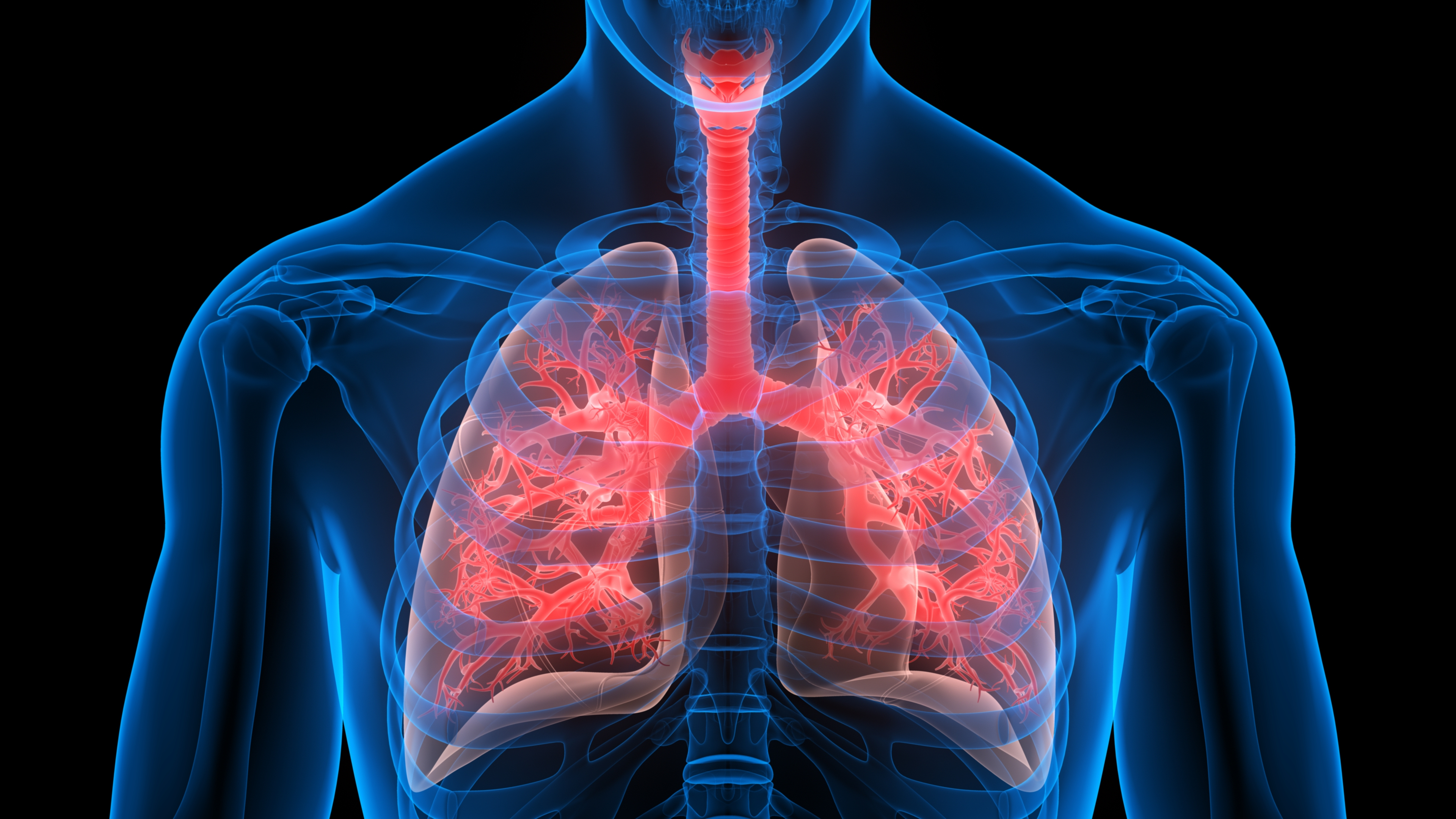 Driver of Cystic Fibrosis Lung Inflammation Yields Target for Treatment