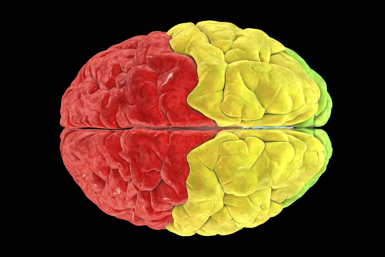 How Brain Regions Involved in Wakeful Rest May Play a Role in the Risk for Alzheimer’s Disease