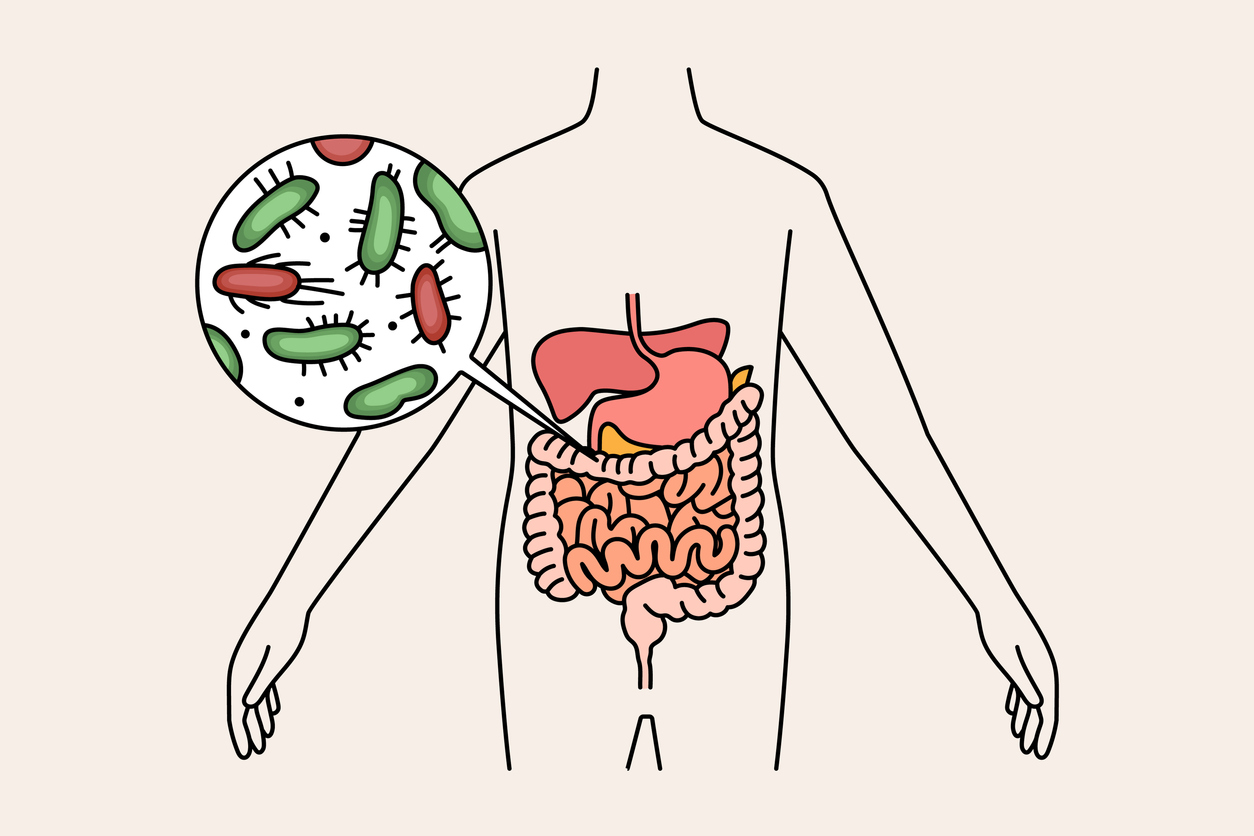 How gut microbes can evolve and become dangerous