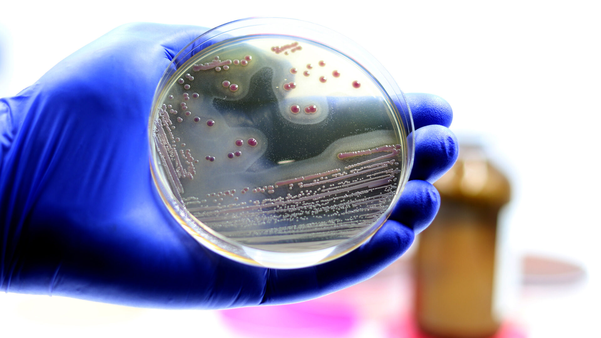 Superbugs Including MRSA Thwarted by Unconventional Vaccine