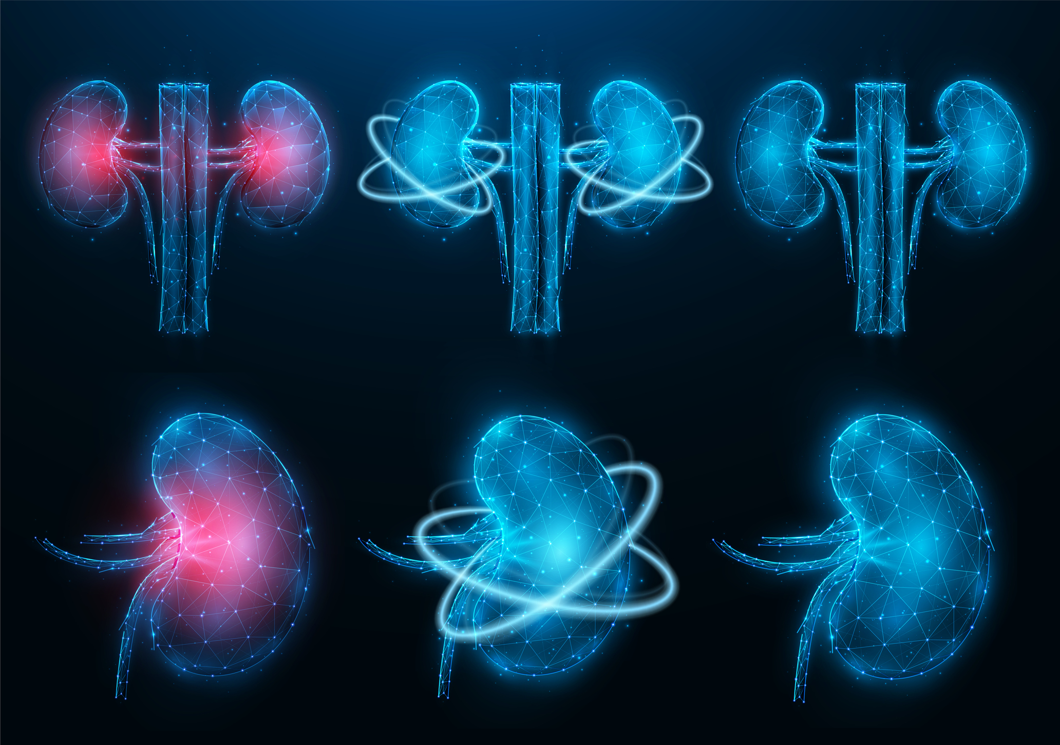 Mixing Donor and Recipient Immune Systems Creates Tolerance of Transplanted Kidneys