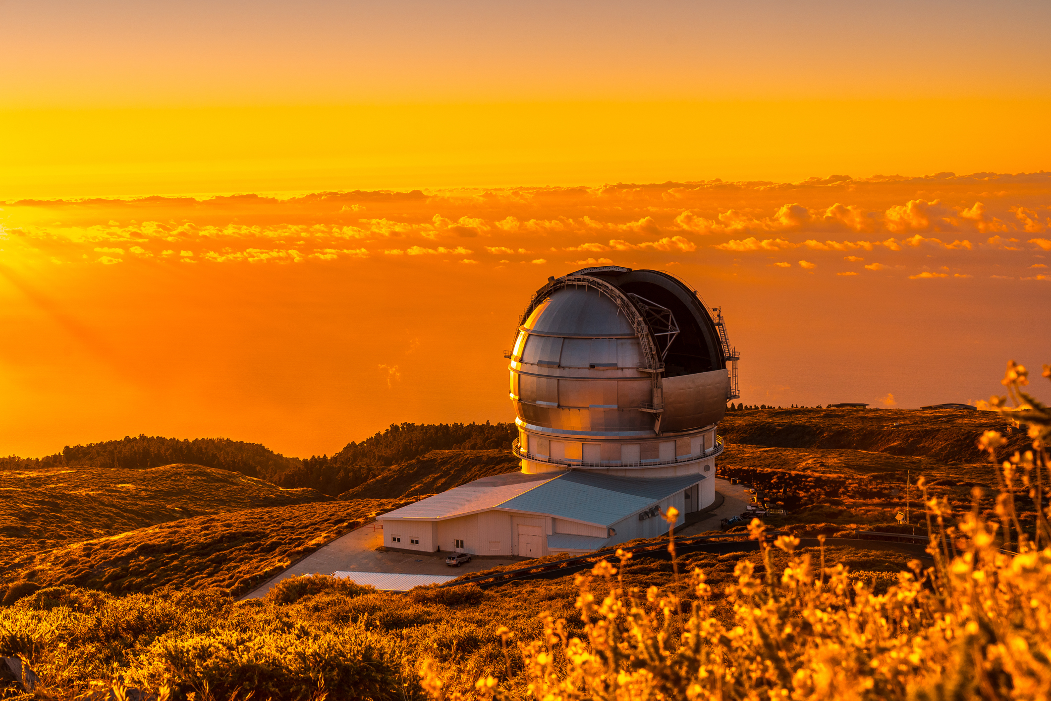UC Santa Cruz Will Lead Development of Next-Generation Telescope Alignment System