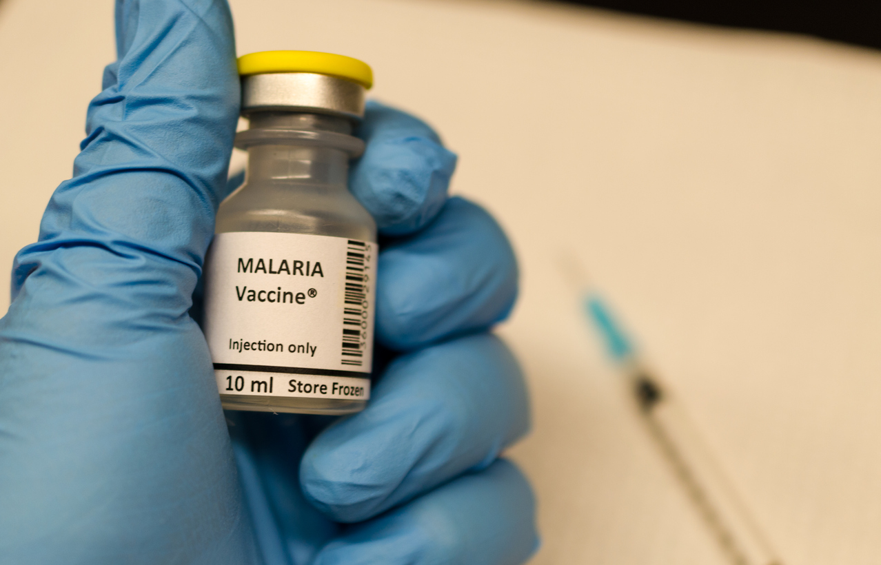 Study Explores New Strategy to Develop a Malaria Vaccine