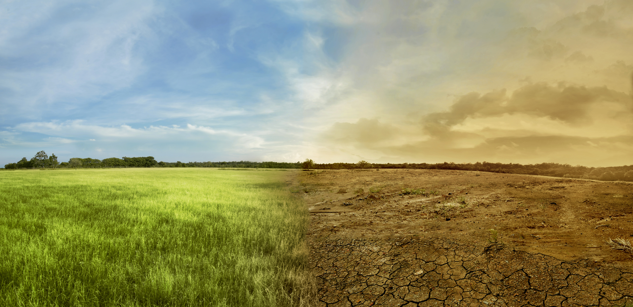 Global Study Shows Extreme Short-term Drought Has Even Greater Impacts on Grasslands and Shrublands Than Previously Thought
