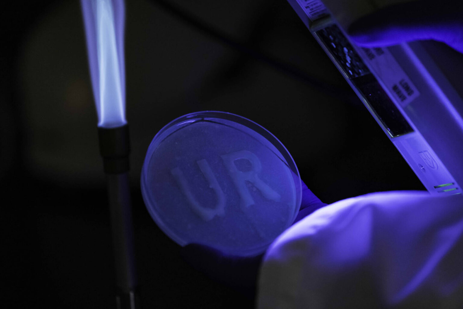 "Printing plant-based pharmaceuticals—without plants"