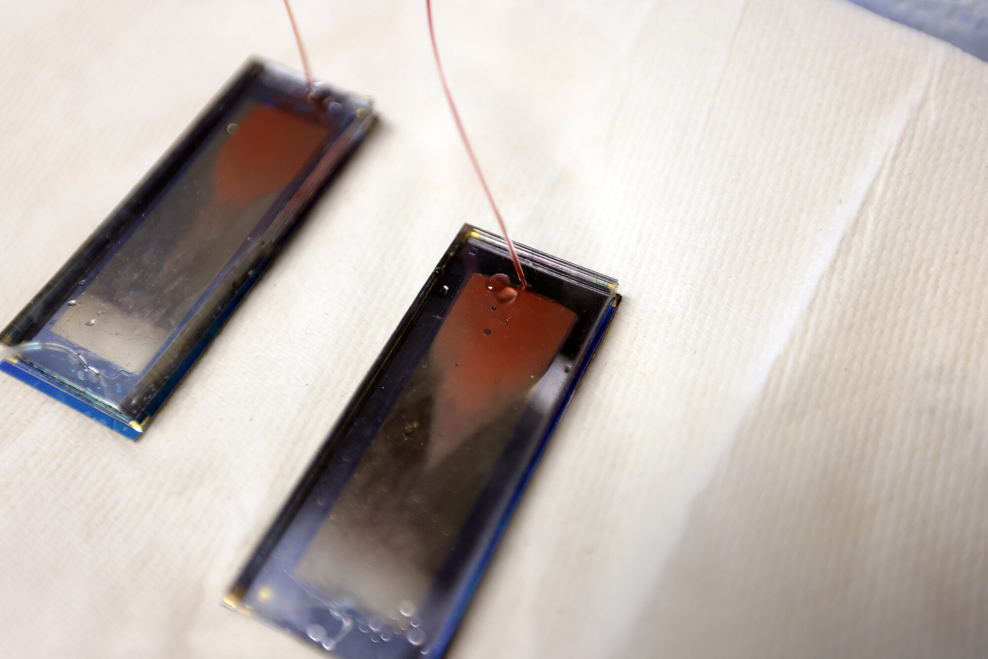 Is Lung Cancer Treatment Working? This Chip Can Tell From a Blood Draw