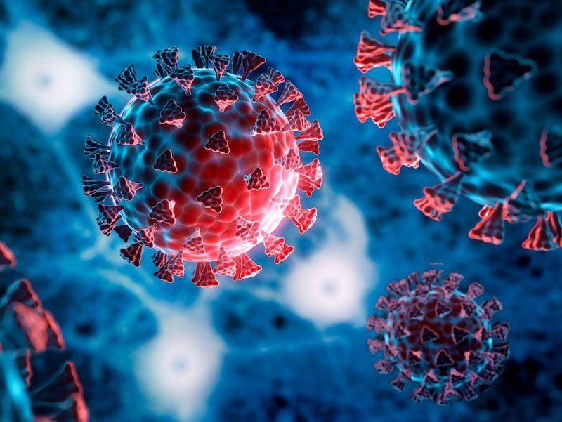 Study: This Protein May Be the ‘Glue’ That Helps COVID Virus Stick