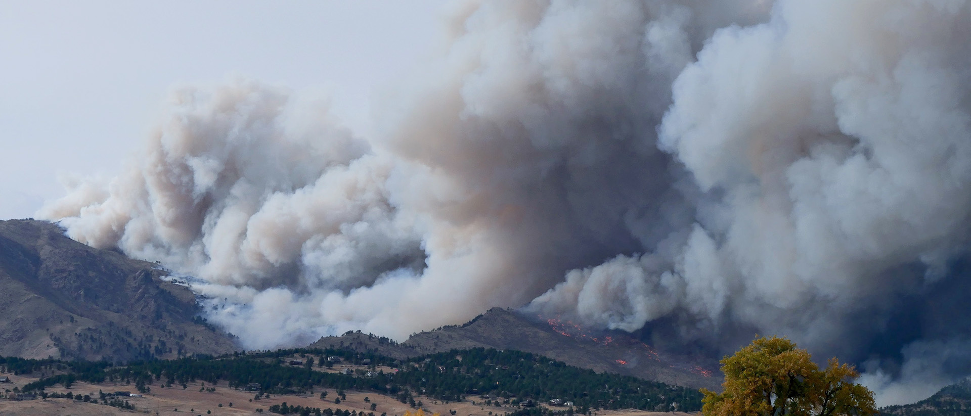 Wildfires Have Erased Two Decades’ Worth of Air Quality Gains in Western US