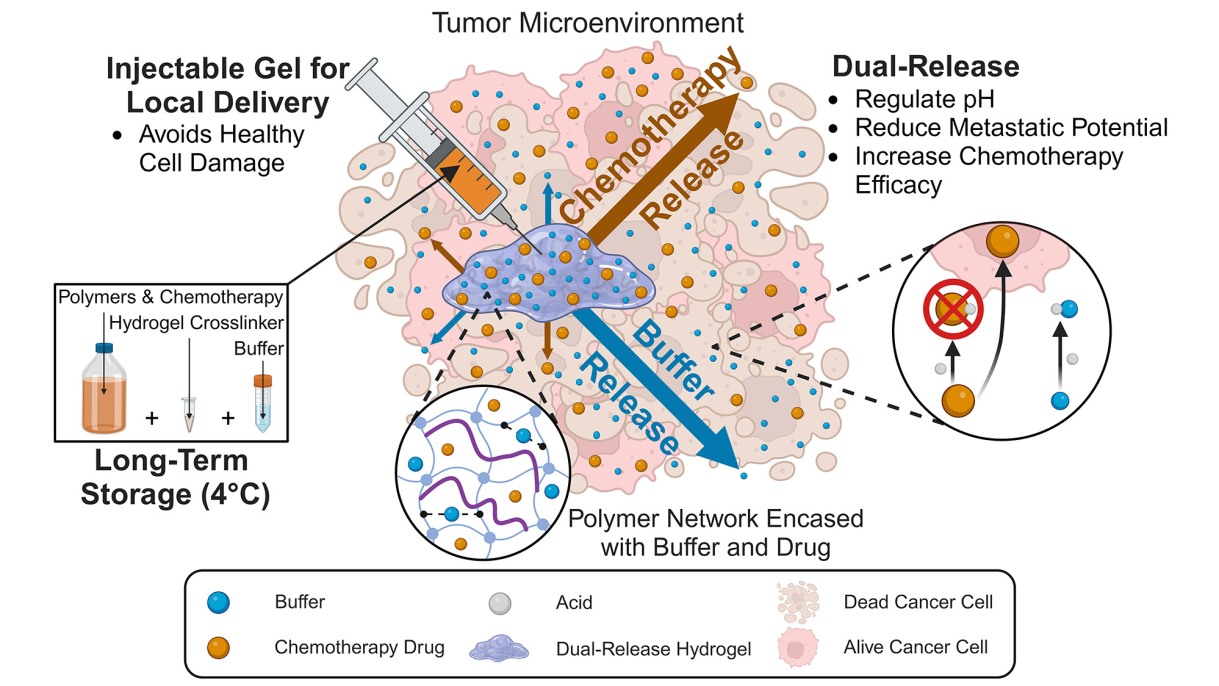 "New drug delivery system developed by Brown engineers has potential to improve cancer treatments"