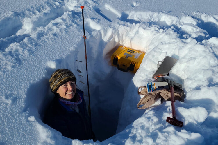 "How Will Climate Change Affect How Predators Hunt Prey?"