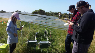 "Global study shows extreme short-term drought has even greater impacts on grasslands and shrublands than previously thought"