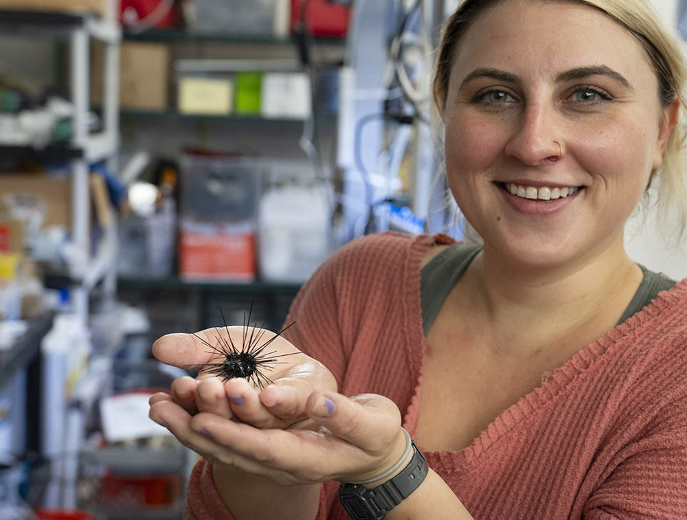 "Sea Urchin Killer Spreads to New Species, Region"