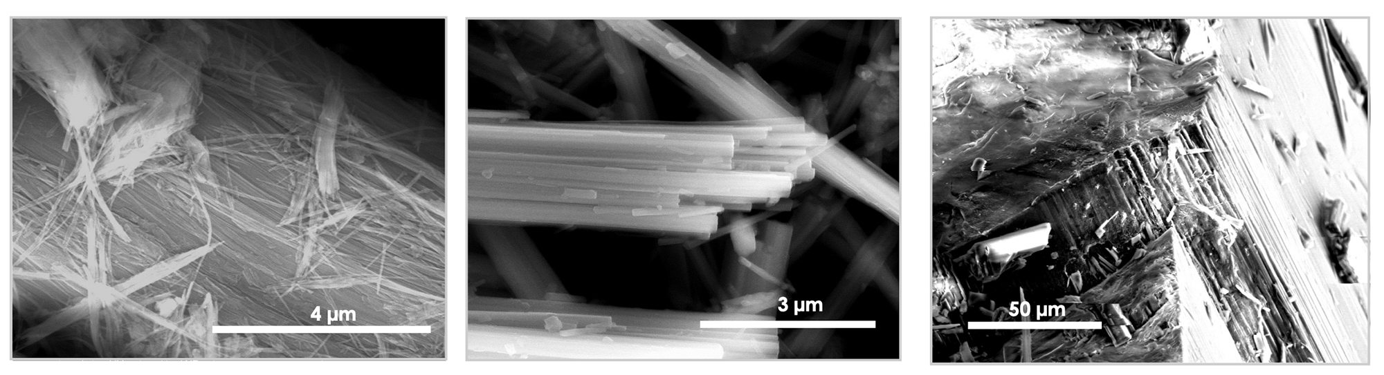 "Using Marine Bacteria to Detoxify Asbestos"