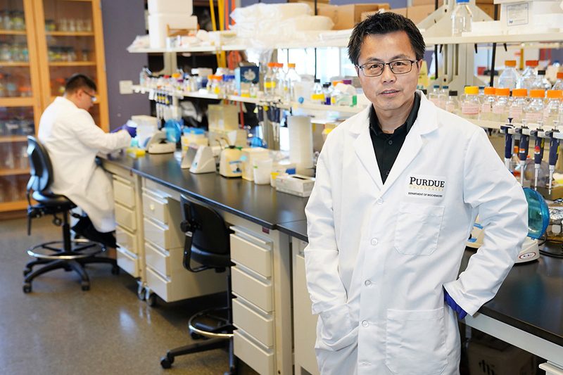 Purdue Researchers Explore Noninvasive Method for Sampling Drug Response