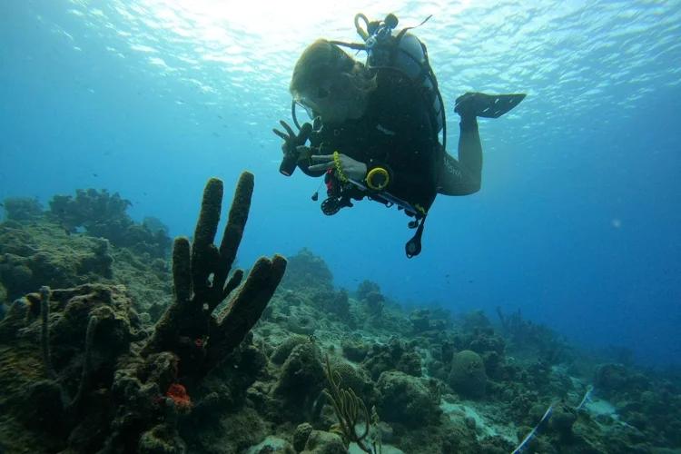 "U of T marine biologist dives deep in pursuit of ocean conservation data"