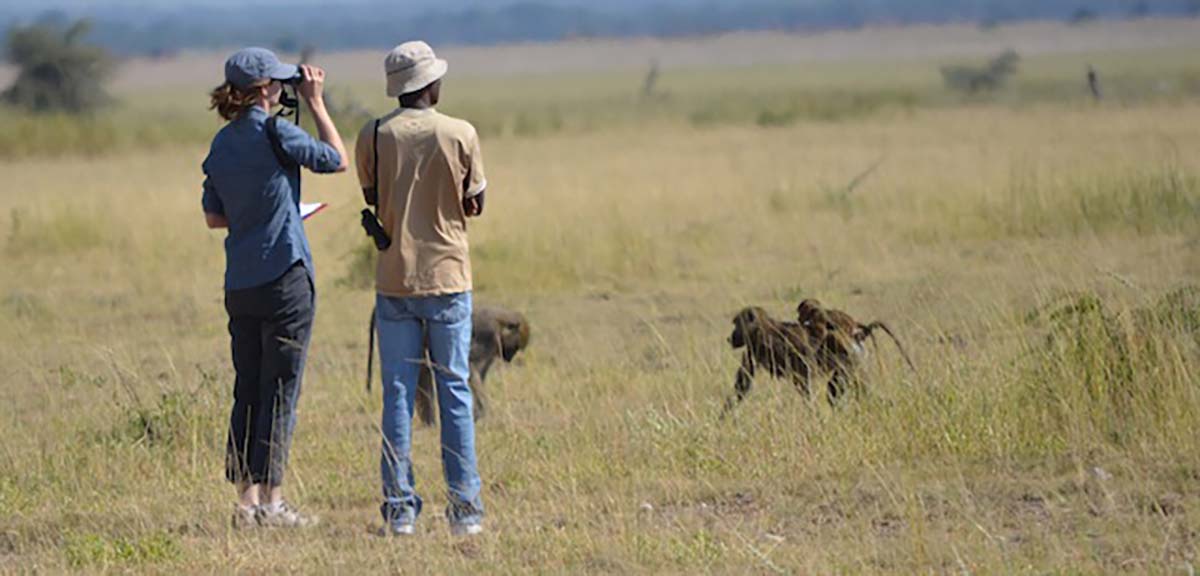 "Notre Dame, Duke Team Up for One of the Longest-running Primate Studies in the World"