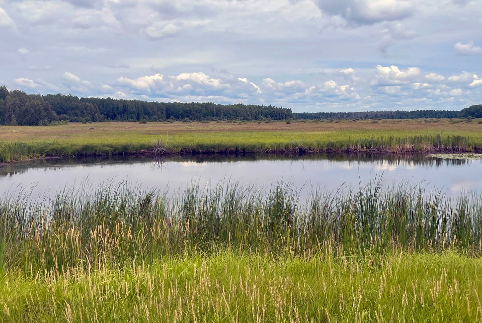 Researchers and Ojibwe to Use Environmental Data to Strengthen Tribal Sovereignty
