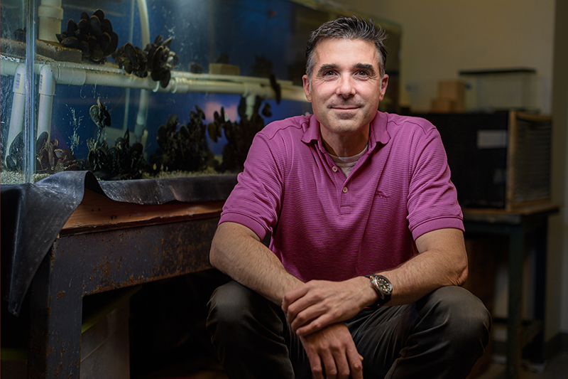 Solving Stickiness Sustainably