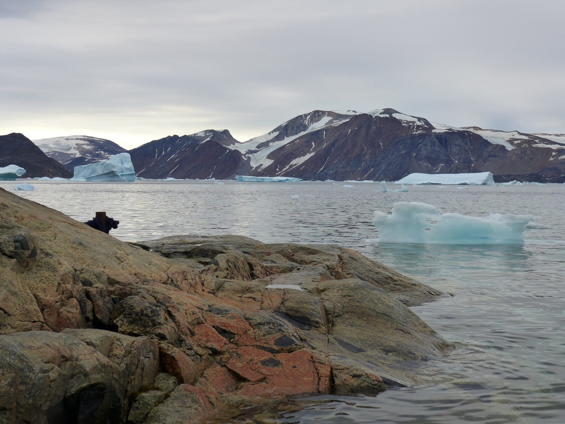 Vikings Abandoned Greenland Centuries Ago in Face of Rising Seas, Says New Study