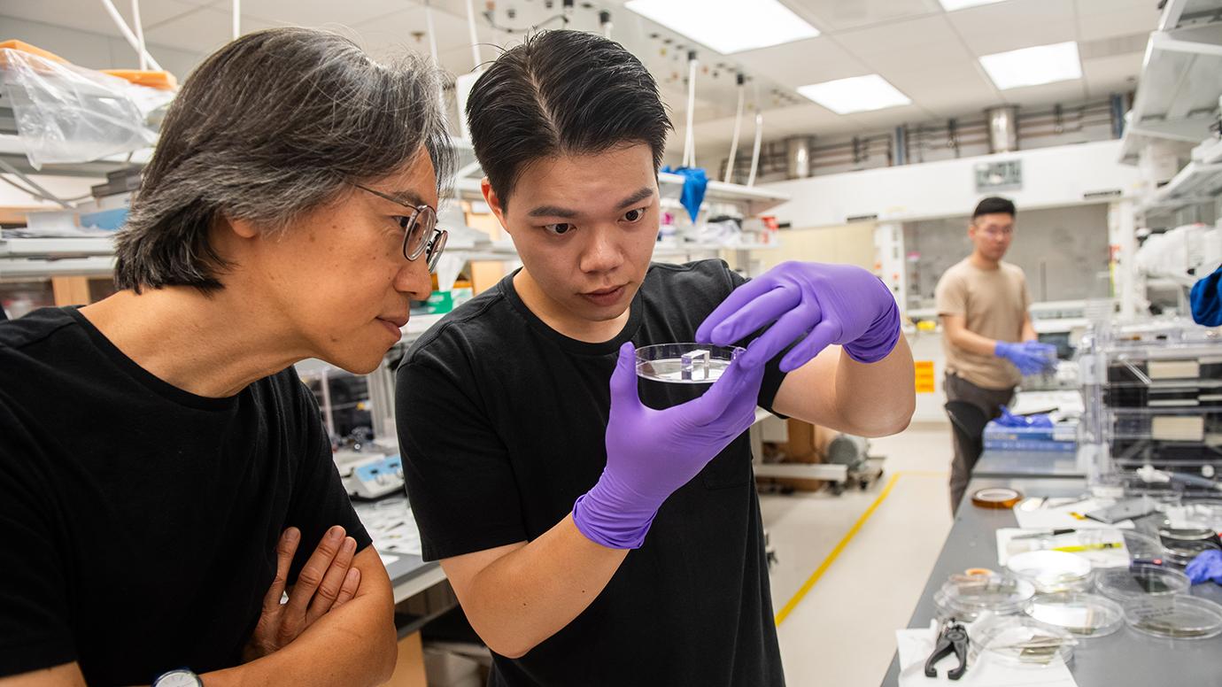 "University of Chicago Scientists Invent Smallest Known Way to Guide Light"