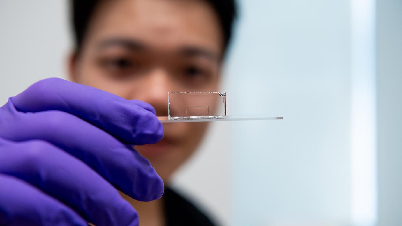 University of Chicago Scientists Invent Smallest Known Way to Guide Light