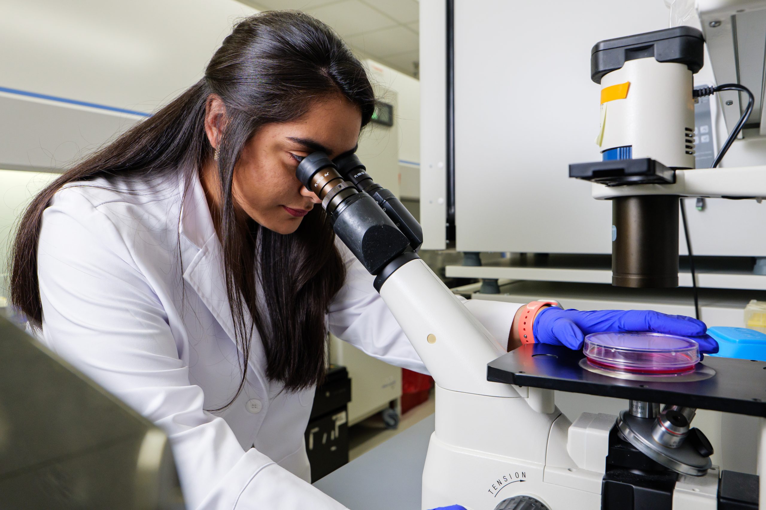 MU Researcher Helps Boost Immune System Memory Against Influenza