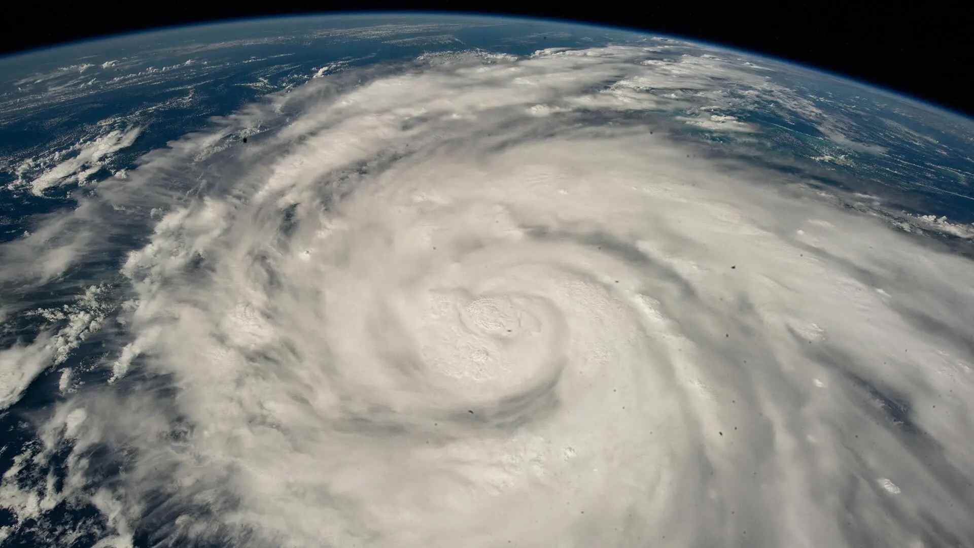 Study Confirms Presence of Flesh-Eating and Illness-Causing Bacteria in Florida’s Coastal Waters Post-Hurricane Ian