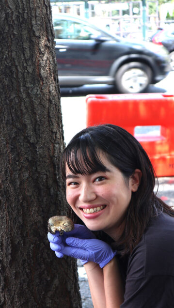 "Cutting Up Forests Disrupts an Essential Bond between Trees and Fungi"