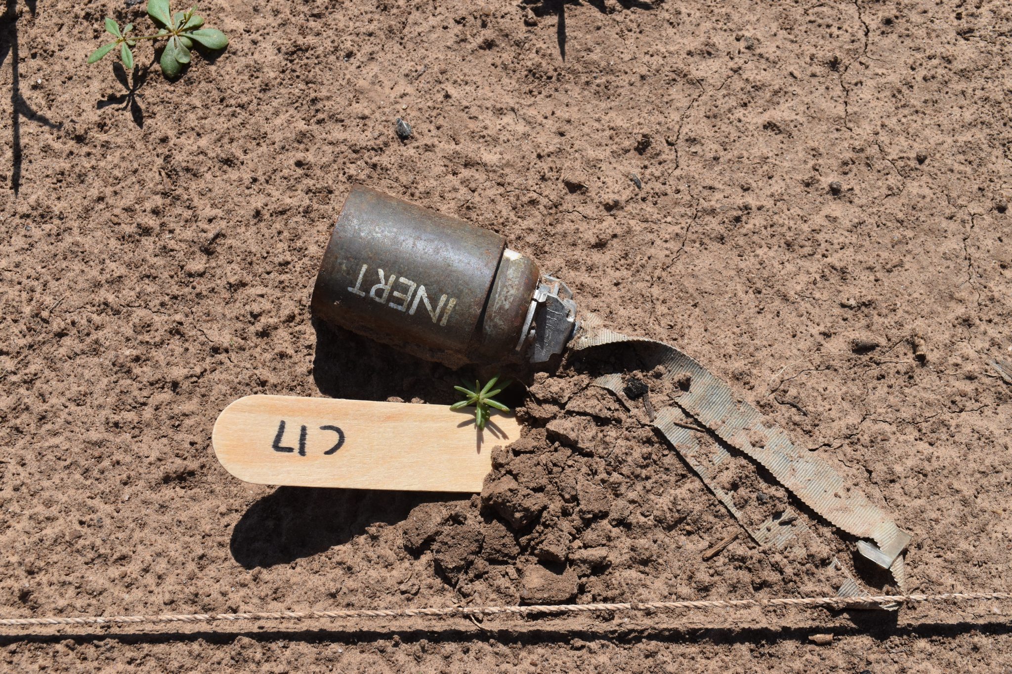 "Intelligence, Researchers Prepare to Do Battle Against Land Mines"