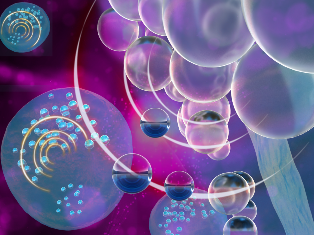 Tiny Bubbles Could Reveal Immune Cell Secrets and Improve Treatments