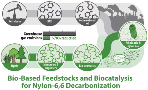 "UW–Madison project combines art, policy and science to create plant-based plastics and benefit marginalized communities"