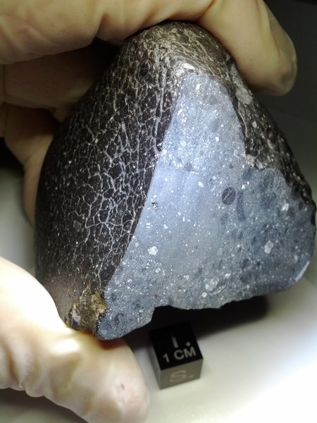 " The Mysterious Origins of Martian Meteorites"